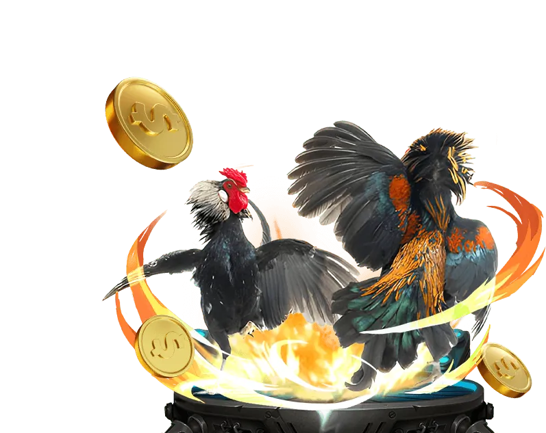 Cá cược bóng đá tại WIN55
